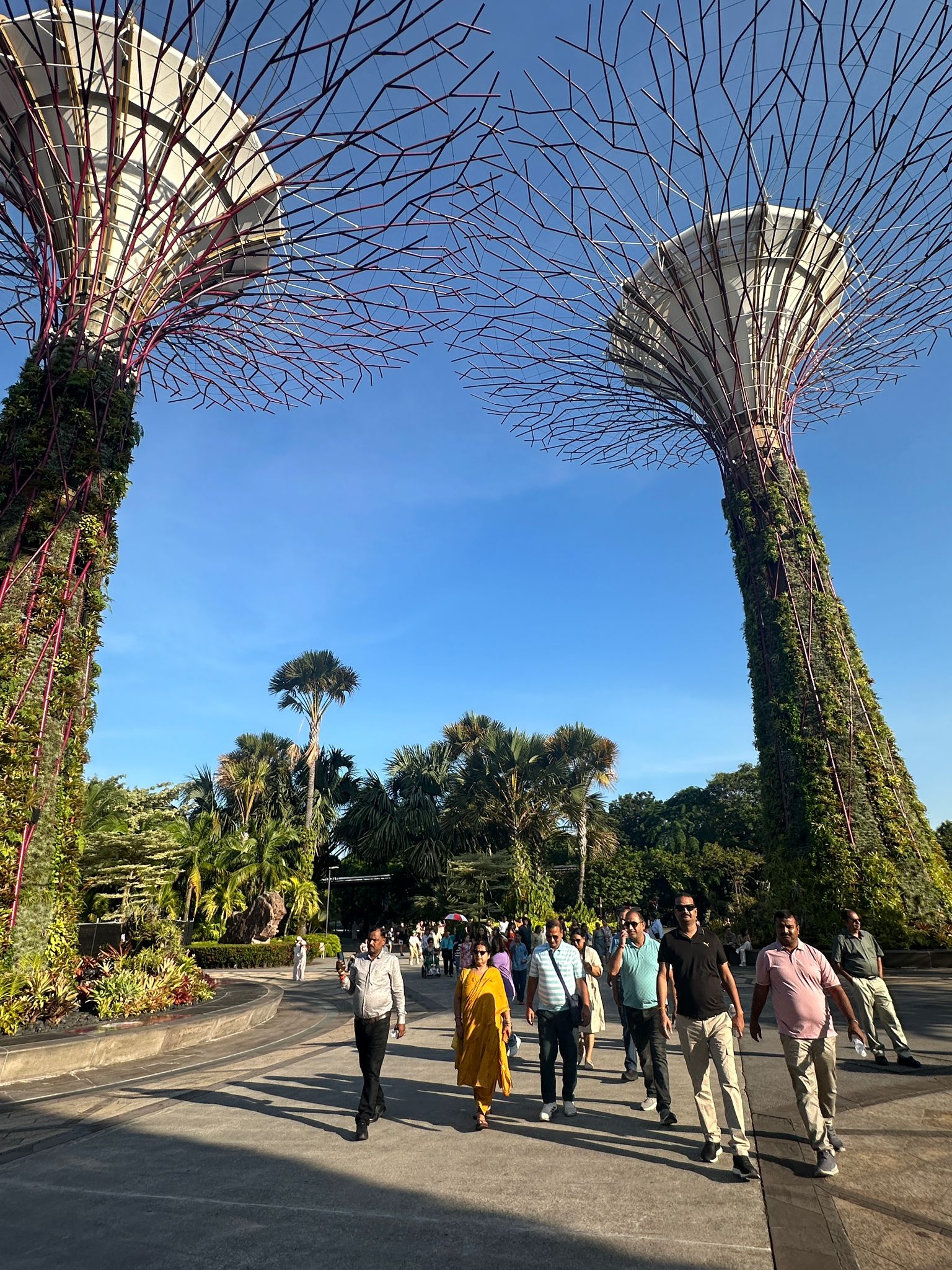 Singapore corporate trip - Image 25
